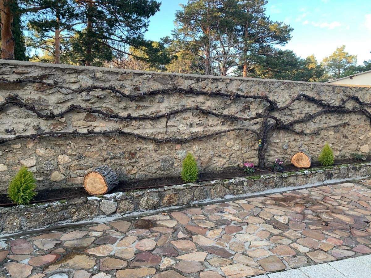 La Casita De Las Hortensias Ortigosa del Monte Екстериор снимка