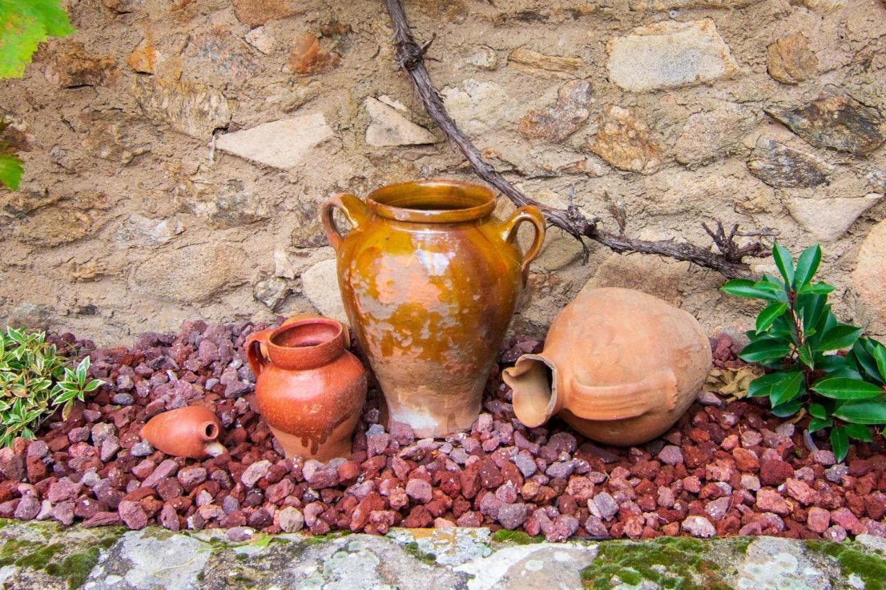 La Casita De Las Hortensias Ortigosa del Monte Екстериор снимка