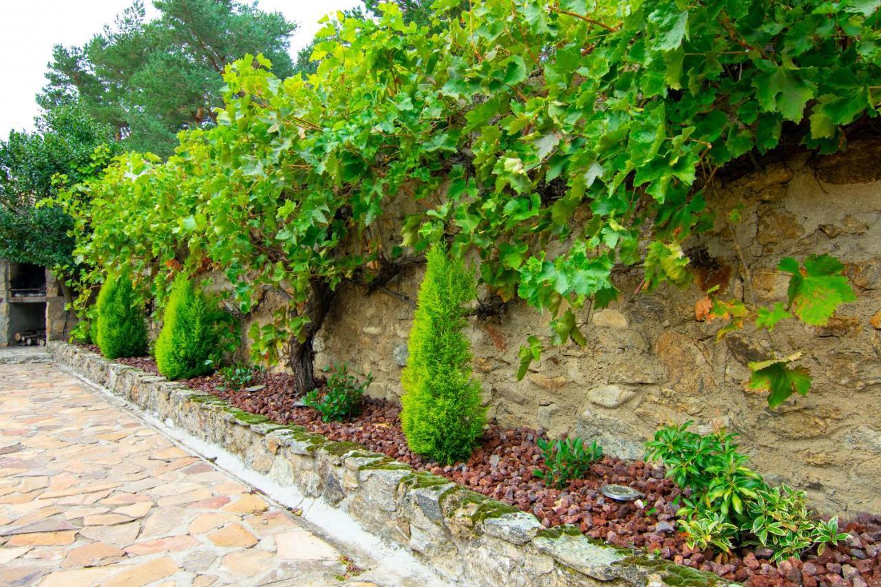La Casita De Las Hortensias Ortigosa del Monte Екстериор снимка